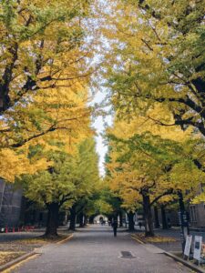 米国通信制高校入学 センター入試で日本の大学へ進学