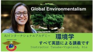 Global Environmentalism